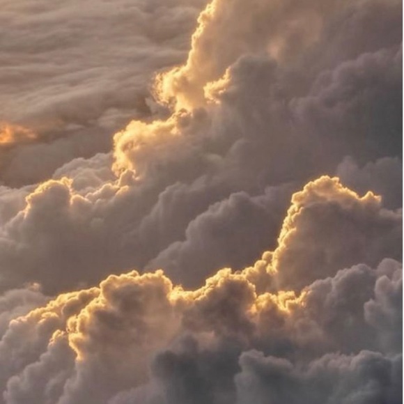 Meet your Posher, Emma - Picture 1 of 1